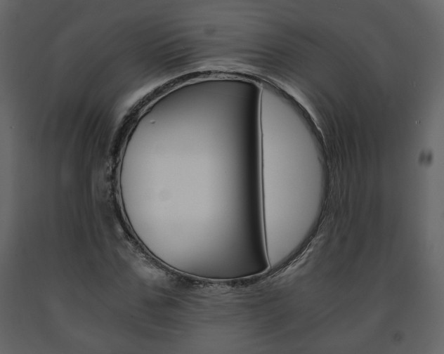 X0000091680971200708231104