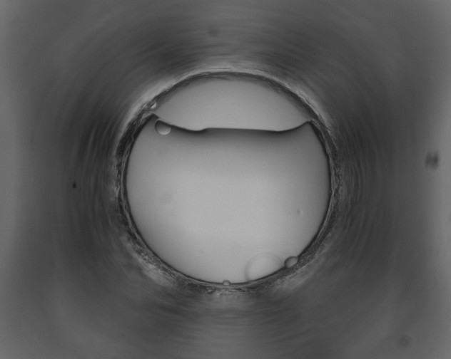X0000091680974200708231104