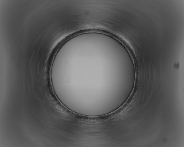 X0000091680975200708231104