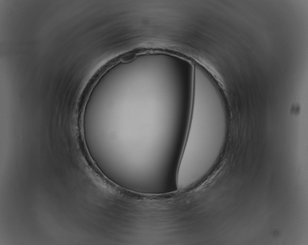 X0000091680976200708231104
