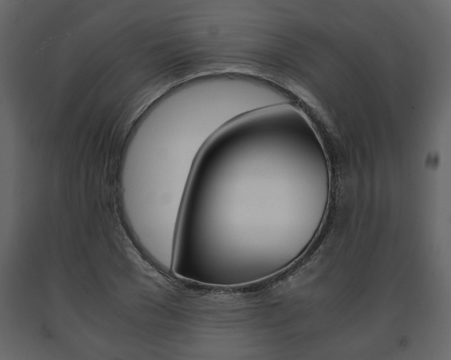X0000091680977200708231104