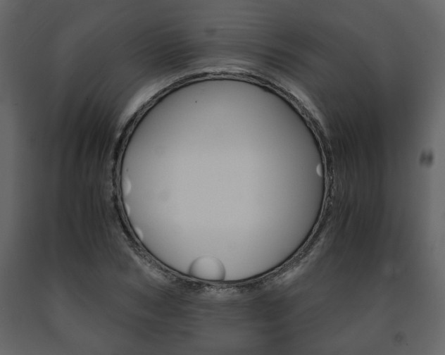 X0000091680978200708231104