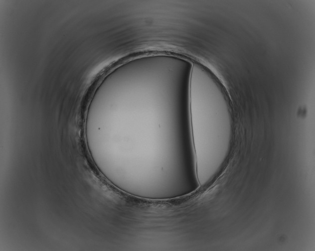 X0000091680979200708231104