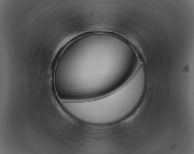 X0000091680981200708231103