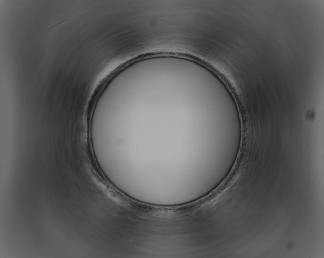 X0000091680982200708231103