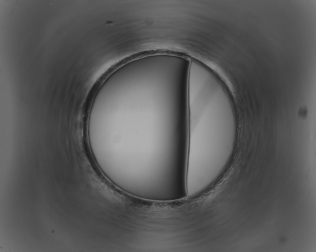 X0000091680983200708231103