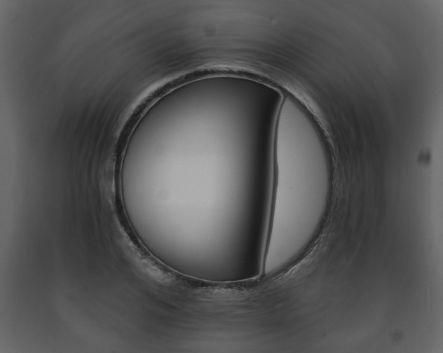 X0000091680984200708231103