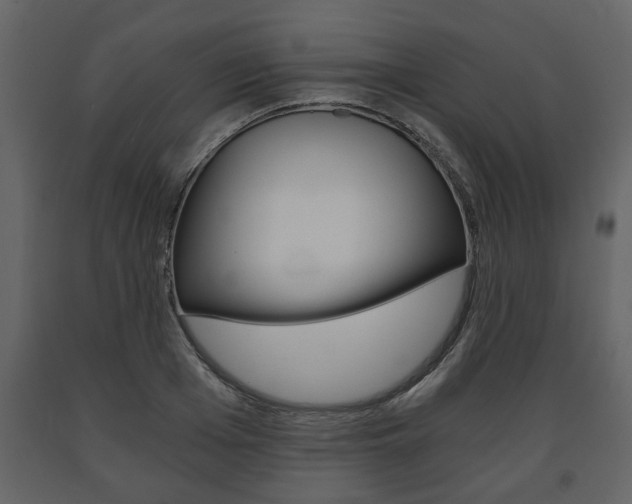 X0000091680985200708231103