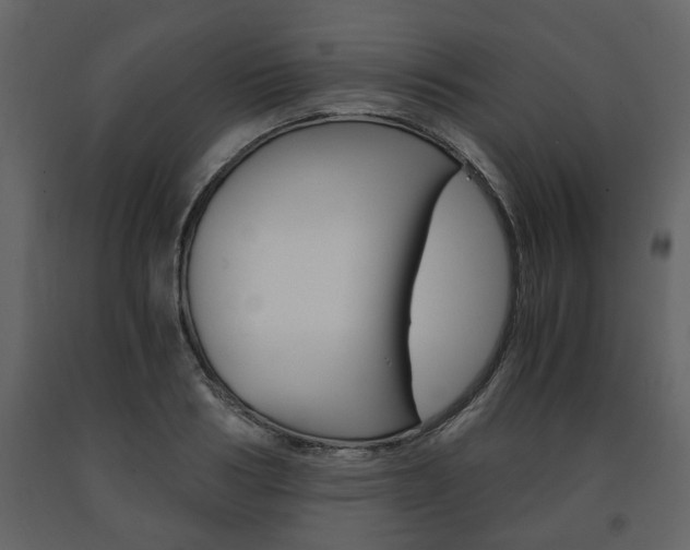 X0000091680986200708231103