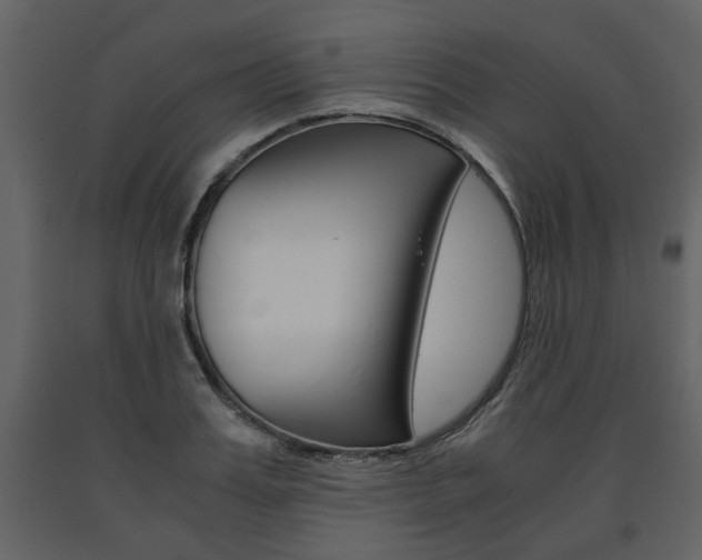 X0000091680987200708231103