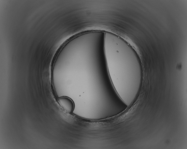 X0000091680988200708231103