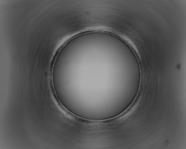 X0000091680989200708231103