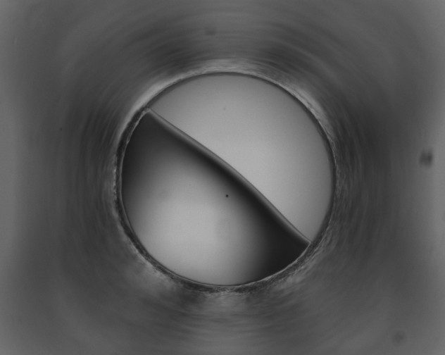 X0000091680992200708231103