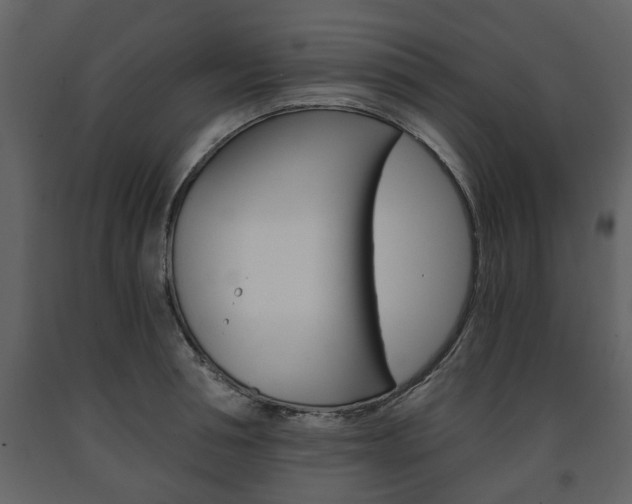 X0000091680994200708231103