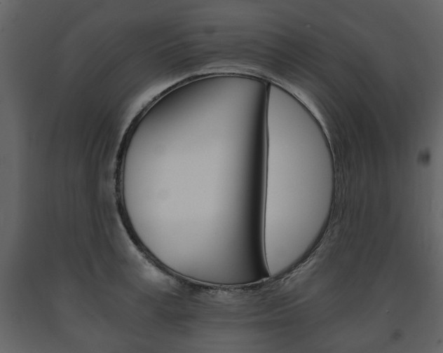 X0000091680995200708231103