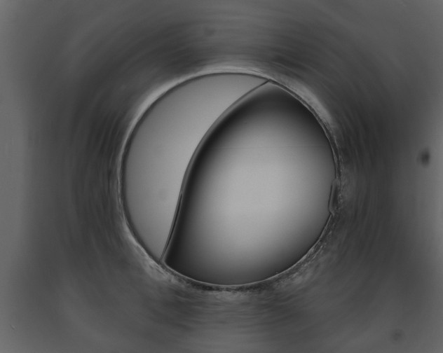 X0000091680996200708231103