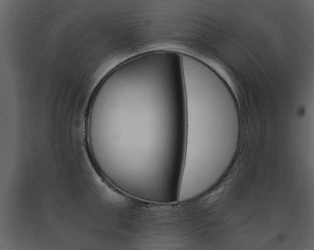 X0000091680999200708231103