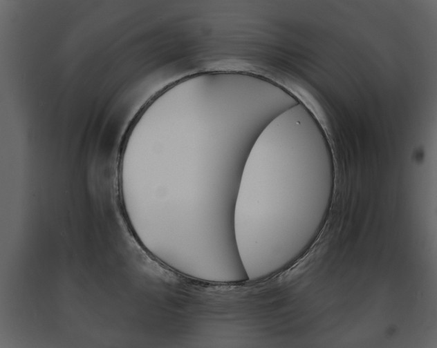 X0000091681000200708231103