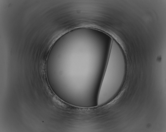 X0000091681001200708231103