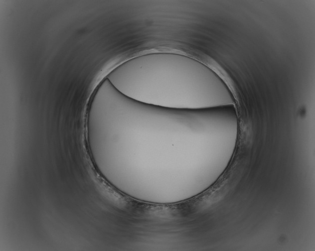 X0000091681002200708231103