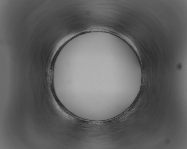 X0000091681003200708231103