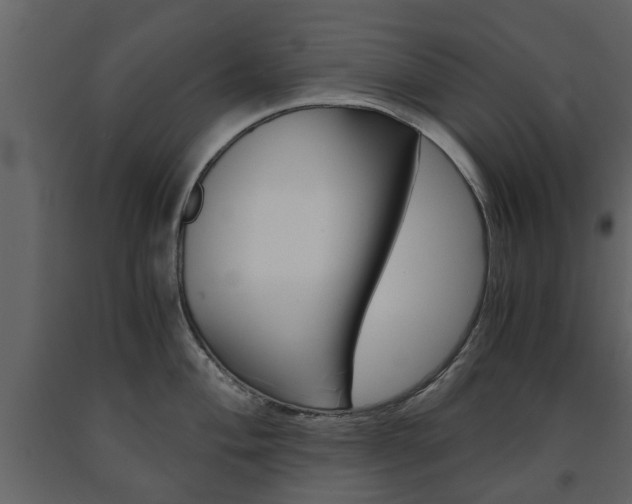 X0000091681004200708231103