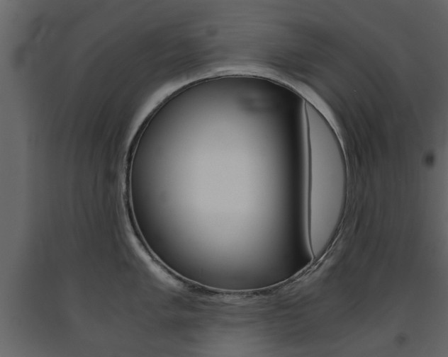 X0000091681005200708231103