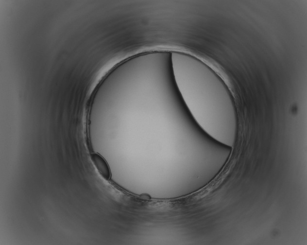 X0000091681006200708231103