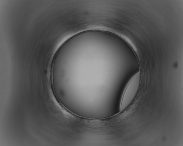 X0000091681007200708231103