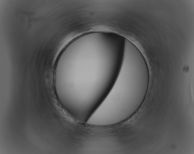 X0000091681008200708231103