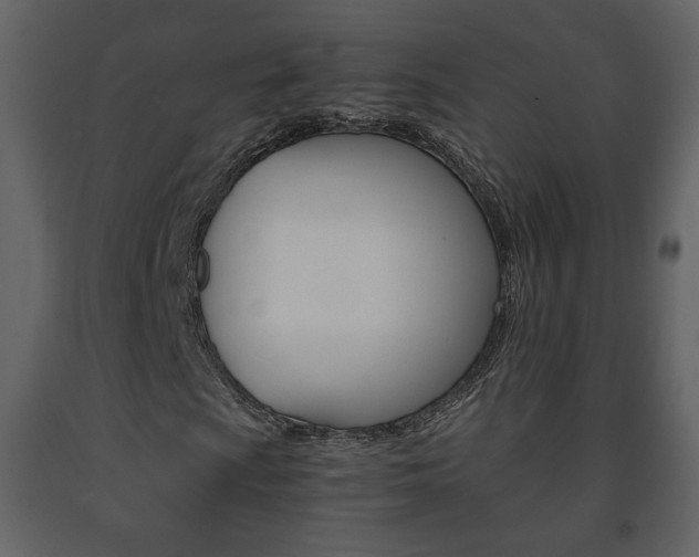X0000091681009200708231102
