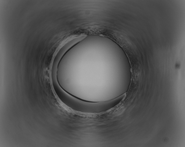 X0000091681010200708231102