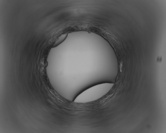 X0000091681011200708231102