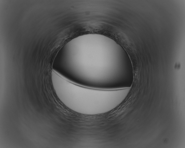 X0000091681012200708231102