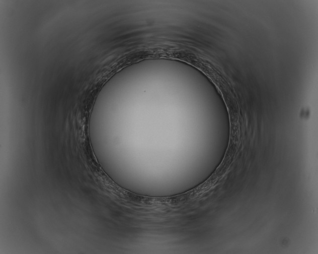 X0000091681013200708231103