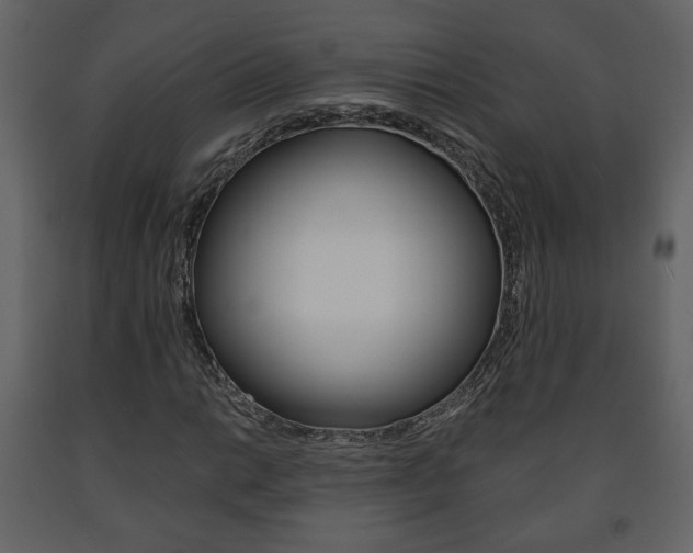 X0000091681014200708231103