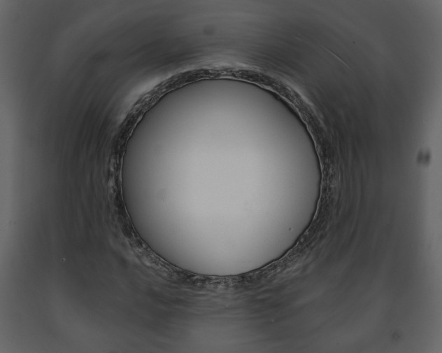X0000091681016200708231103