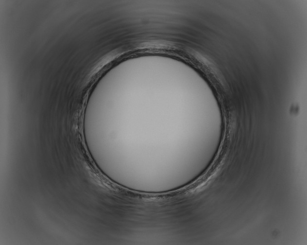 X0000091681017200708231103