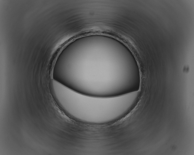X0000091681018200708231103