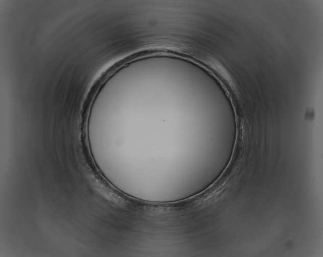 X0000091681020200708231103
