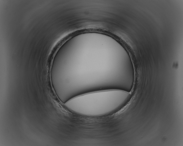 X0000091681021200708231103