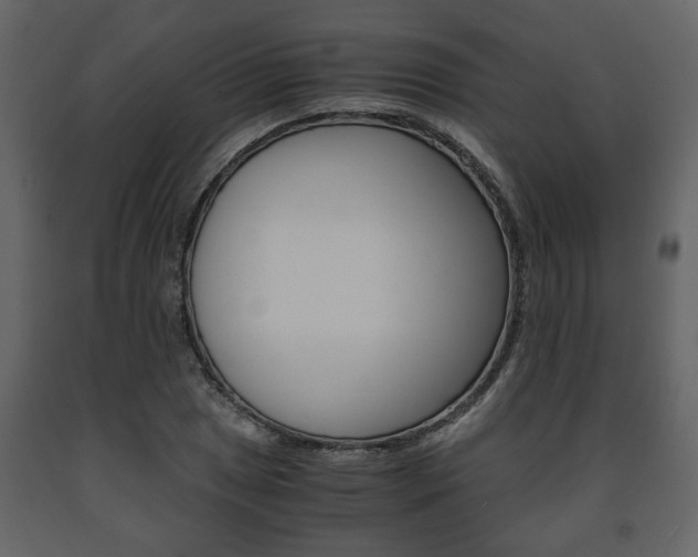 X0000091681025200708231103