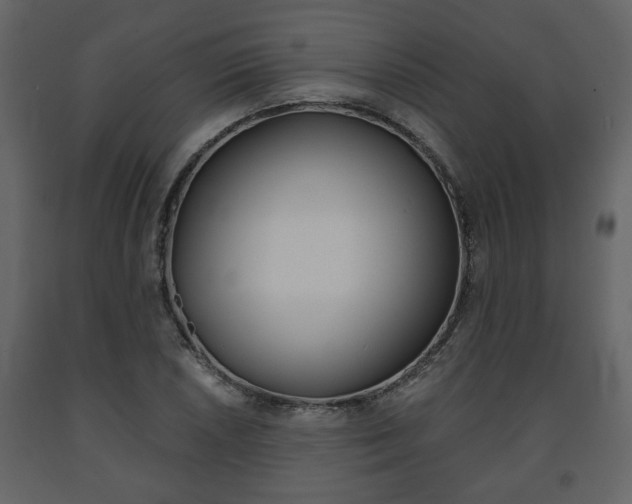 X0000091681026200708231103