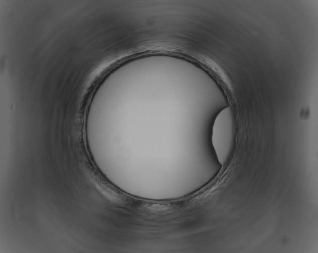 X0000091681027200708231103