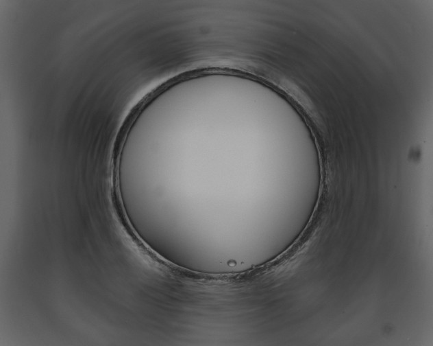 X0000091681028200708231103