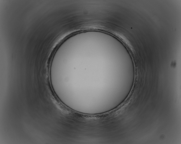 X0000091681031200708231103