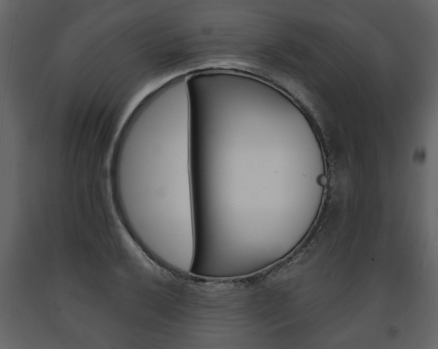 X0000091681032200708231103