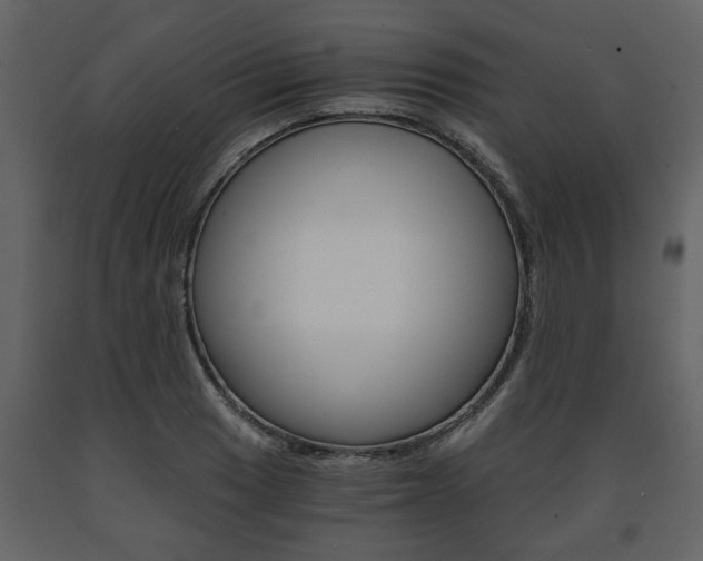 X0000091681033200708231103