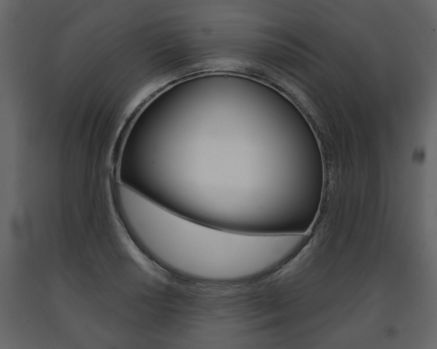 X0000091681034200708231103
