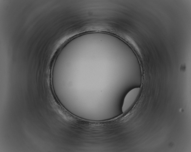 X0000091681035200708231103